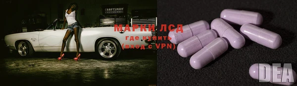 прущие грибы Алзамай