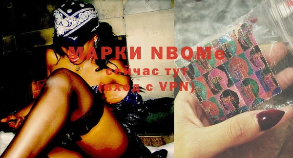 прущие грибы Алзамай