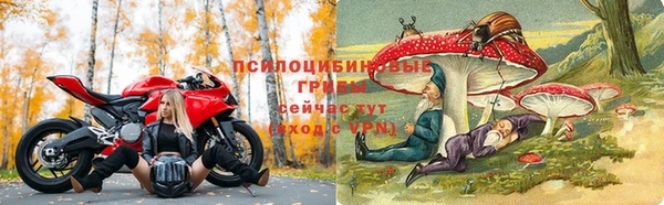 Альфа ПВП Алексеевка