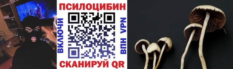 Псилоцибиновые грибы Psilocybe  наркошоп  OMG онион  Соликамск 